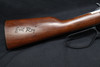 Henry Frontier H001TER Evil Roy .22S/L/LR