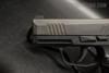 Sig Sauer P365