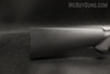 Ruger 10/22 Take Down
