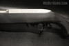 Ruger 10/22 Take Down