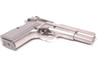 Tisas BR9 Stainless Hi Power Clone 9mm