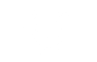 North American Arms