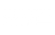 Springfield Armory