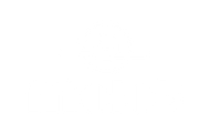 Molot
