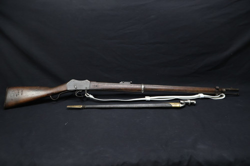 Martini Henry .577/450