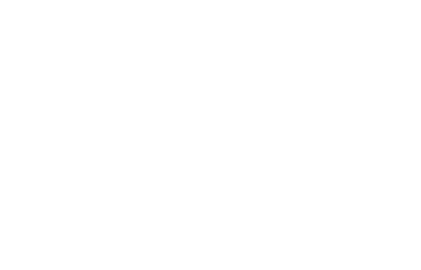 North American Arms