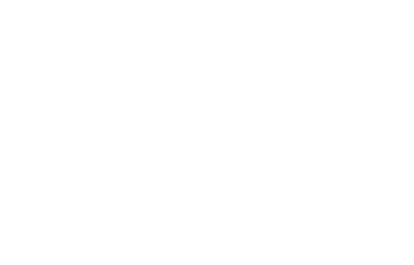 Webley & Scott