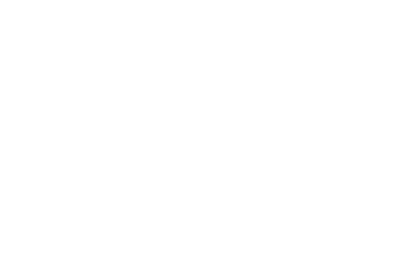 FN