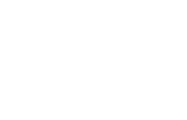 Palmetto State Armory