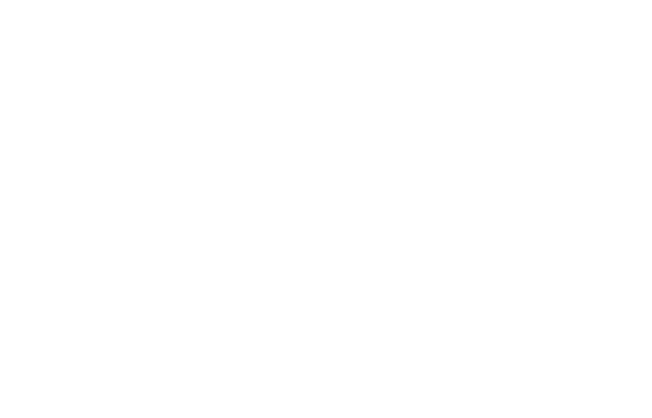 Sig Sauer