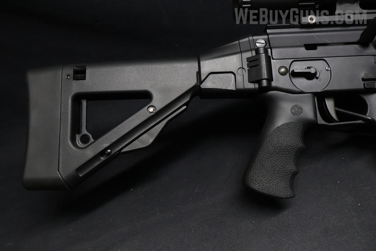 Sig Sauer Sig 552 .22LR