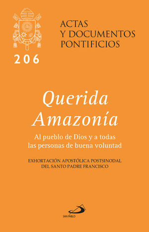 QUERIDA AMAZONÍA #206 AL PUEBLO DE DIOS Y A TODAS LAS PERSONAS DE BUENA VOLUNTAD