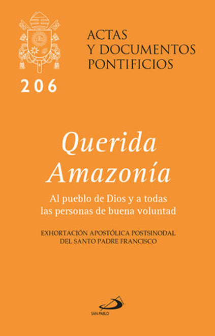 QUERIDA AMAZONÍA #206 AL PUEBLO DE DIOS Y A TODAS LAS PERSONAS DE BUENA VOLUNTAD