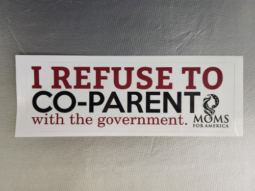 Co-Parent Bumper Sticker