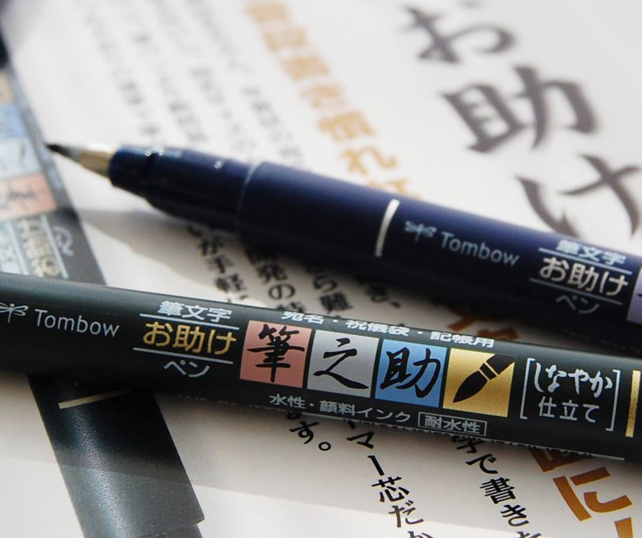 Tombow Fudenosuke Double-Sided Marker Water Based Calligraphy Pen –  Japanese Taste