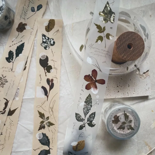 Mr. Eggplants Old Leaves PET Tape, 4cm wide, featuring vintage-style botanical illustrations of pressed leaves with a matte finish. Ruban adhésif PET Old Leaves par Mr. Eggplants, 4 cm de large, avec des illustrations botaniques de feuilles pressées de style vintage.