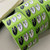 Some Sort of Fern Mini Sticker Roll - Me Rabbit