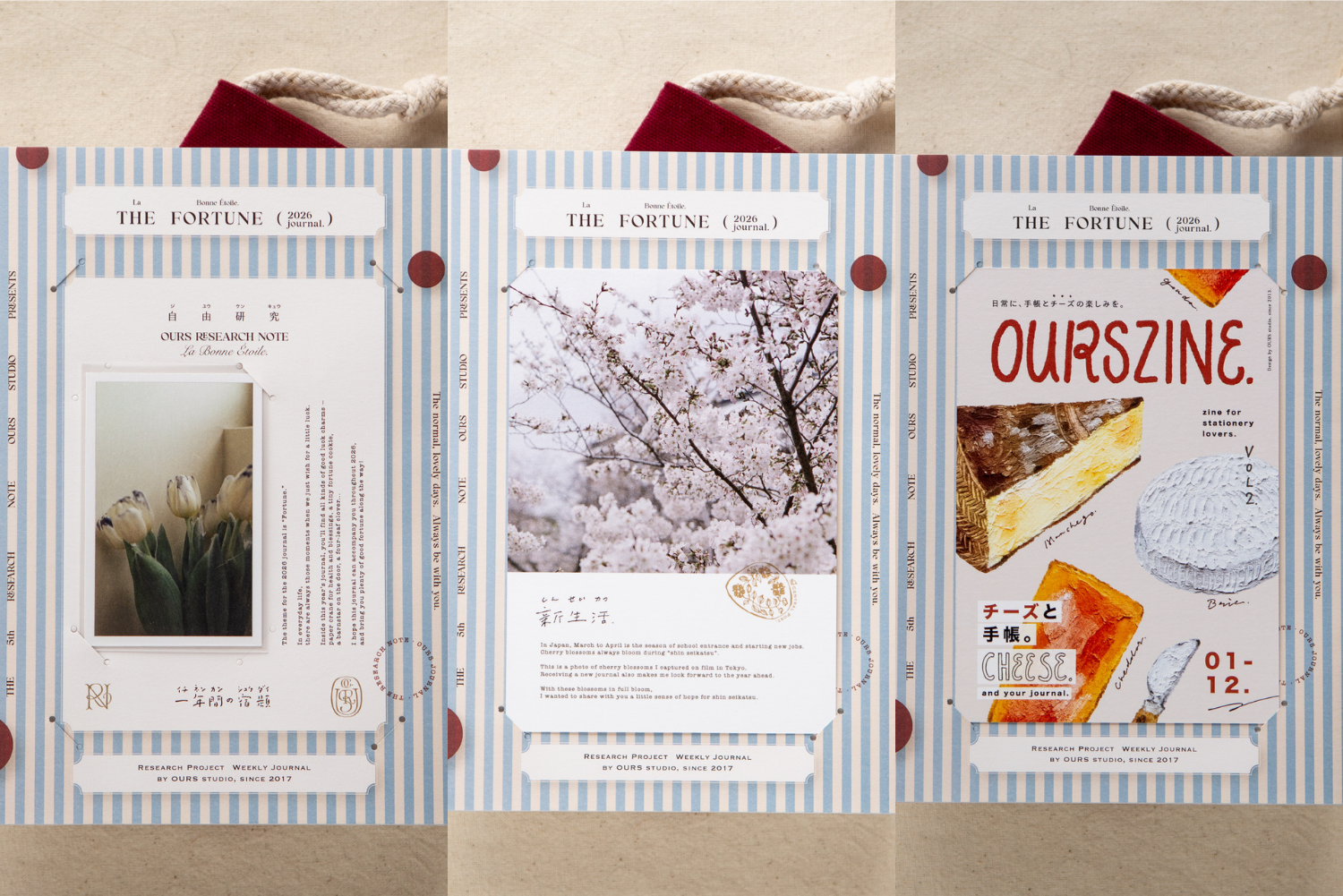 OURS 2026 Research Project Journal A5 - The Fortune