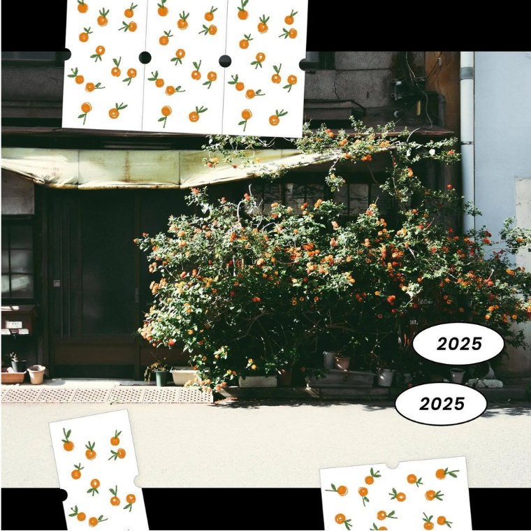Some Sort of Fern Mini Sticker Roll - Tangerine