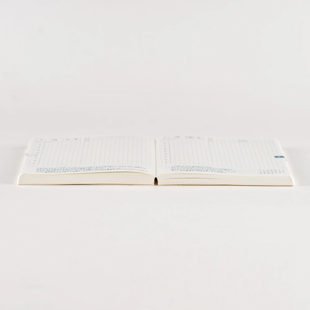 Hobonichi Techo 2027 A6 Original Avec Books (Japanese)