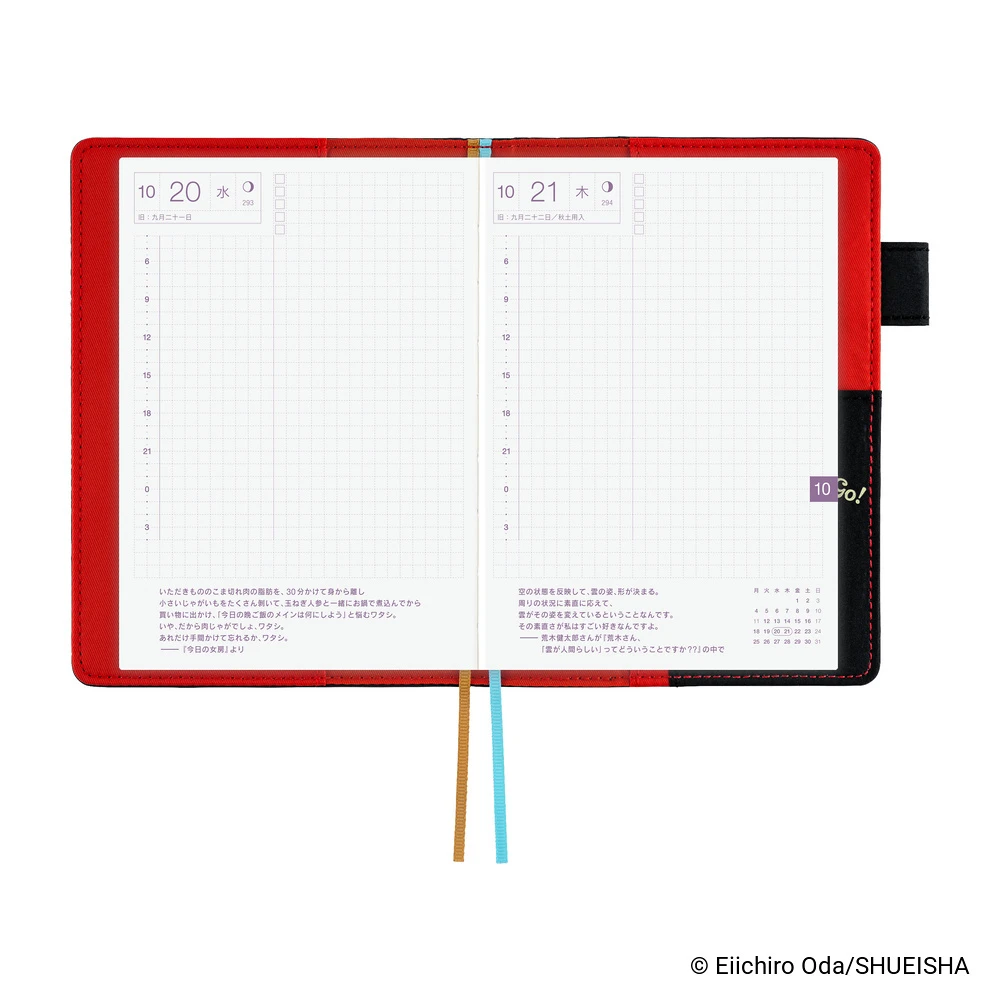Hobonichi Techo A6 Original Cover - ONE PIECE magazine: Going Merry Go!