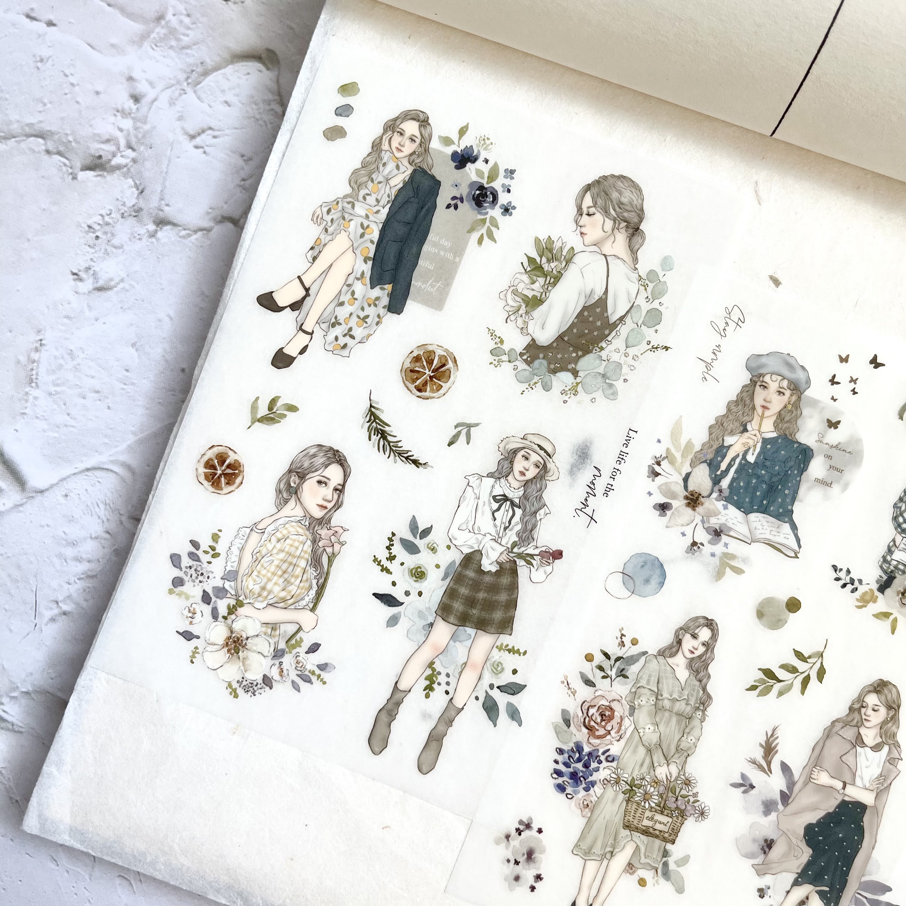 Pion Transfer Sticker Set - Elegant (3 sheets)