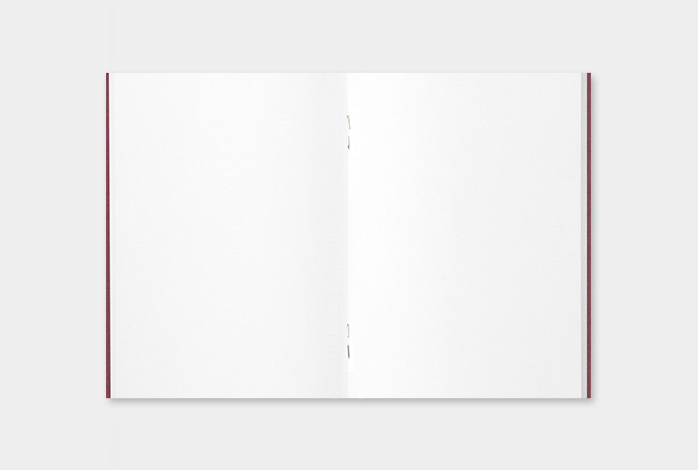 TRAVELER'S Notebook Starter Kit - Olive (Passport Size)