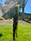 Yellow & Black Ombré Tail