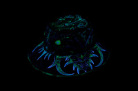 Toxic King Bucket Hat