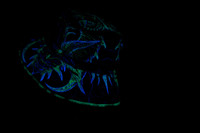 Toxic King Bucket Hat