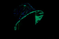 Toxic King Bucket Hat