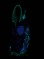 Toxic King Faux Fur Jacket