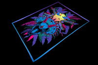 LSD+Jurassic Blanket