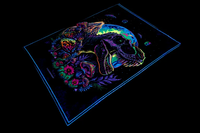 LSD+Jurassic Blanket