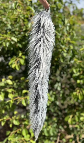 Grey White Frosted Tail