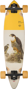 Globe - Pintail 34 Complete-8.75x30.5 Falcon - Complete Skateboard Globe - Pintail 34 Complete-8.75x30.5 Falcon - Complete Skateboard