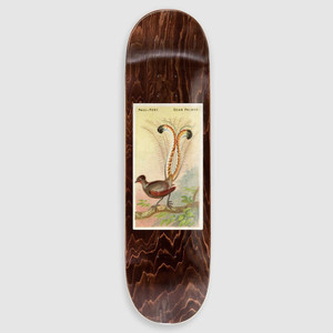 Passport Jack Figure 1 Deck 8.12 - Skateboard Deck