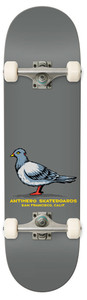Anti Hero Pigeon Complete 8.25 - Complete Skateboard