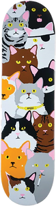 Enjoi - Cat Collage Deck-8.25 R7 - Skateboard Deck