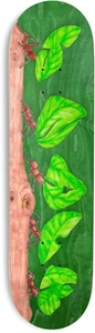 Snack Team Leafcutter Deck 8.25 - Skateboard Deck