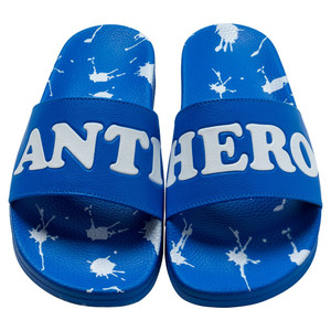 Anti Hero Damn You Blue Slides 10