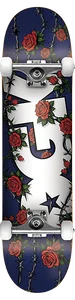 Dgk - Wires Complete-8.0 - Complete Skateboard
