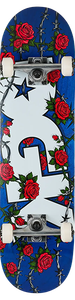 Dgk - Wires Complete-8.25 - Complete Skateboard
