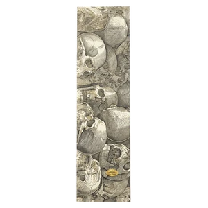 The Pvblic Domain - Domain Grip 9x33 Buried Clear - Skateboard Grip Tape