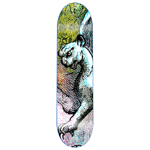 Gx1000 Carlyle Hail Storm Deck 8.12 - Skateboard Deck