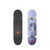 Tricks Space Jump Complete 7.25 X 28.0 - Complete Skateboard