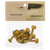 Ace Trucks - 1.25" Phillips Hardware Set Gold - Skateboard Hardware