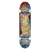 Dgk - Cathedral Complete-8.25 - Complete Skateboard