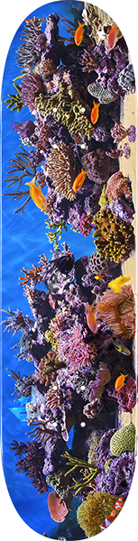 Mini Logo - Deck 191/k16 Mini-7.5 Fish Tank - Skateboard Deck