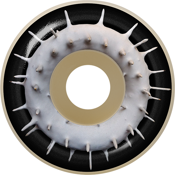 Spitfire - Palmer F4 99a Con-full Spiked 53mm Nat/blk - Skateboard Wheels (Set Of Four)
